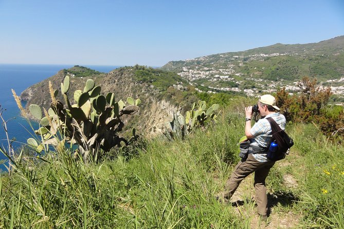 Half-Day East Coast Hike in Ischia Island With Pick-Up - Tour Highlights