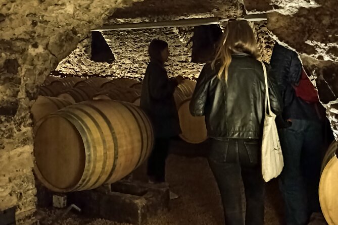 Half-Day Guided Tour With Tasting of Beaujolais Wines - Tour Overview