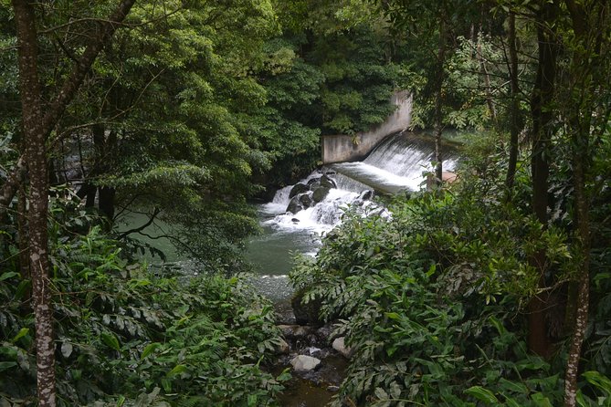 Half Day Hiking Tour Salto Do Cabrito and Hot Springs