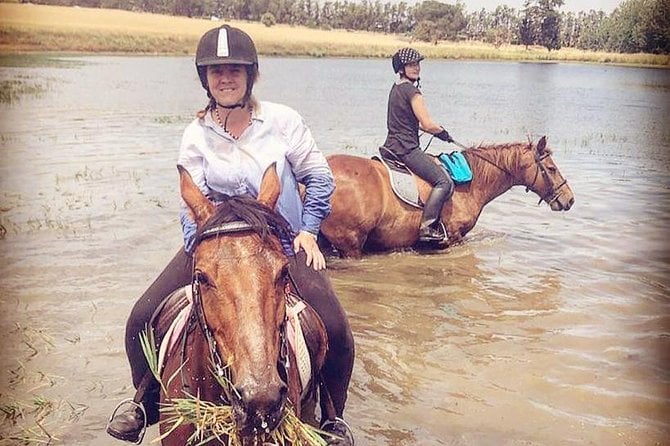 Half Day Horseback Wine Tour