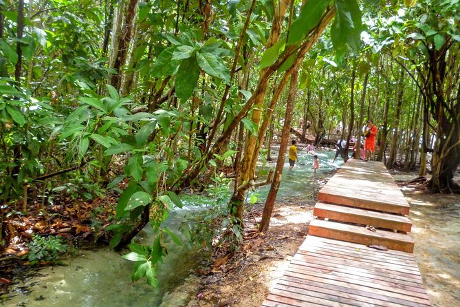 Half-Day Jungle Tour Including Crystal Pool and Krabi Hot Springs