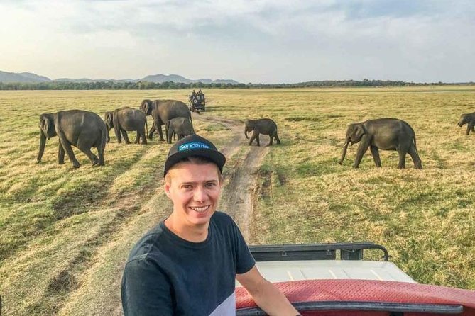 Half Day Minneriya National Park Safari From Sigiriya - Tour Overview