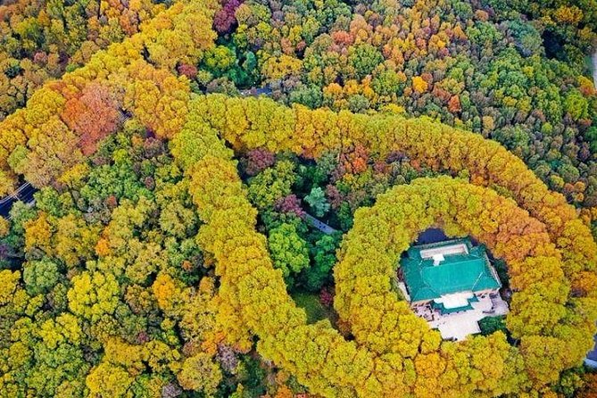 Half-Day Nanjing Purple Mountain Private Tour in Your Way
