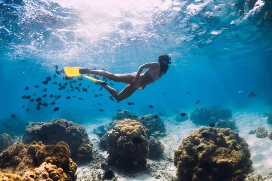 Half-Day Nassau Getaway: Rose Island Snorkeling & Turtle - Experience Highlights