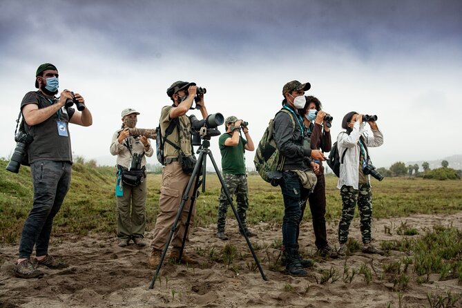 Half-Day Private Birdwatching Tour in Lima - Tour Overview