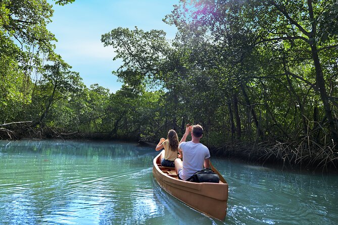 Half-Day Private Los Haitises Caves and Mangroves Canoe Tour