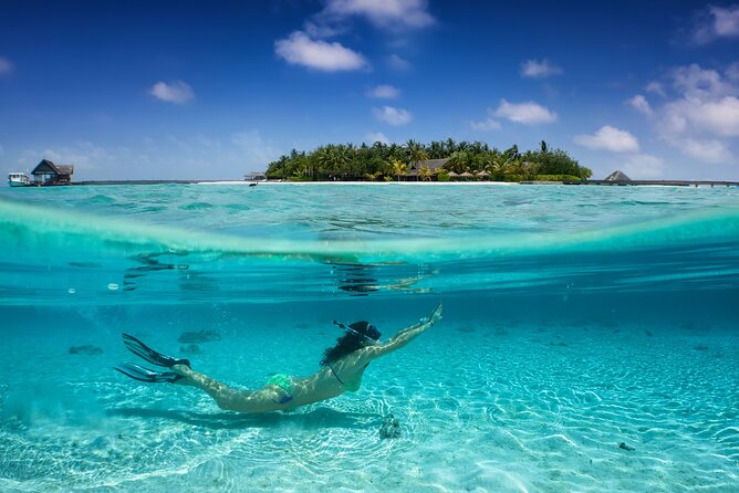 Half Day Private Snorkeling Tour in Maafushi Island