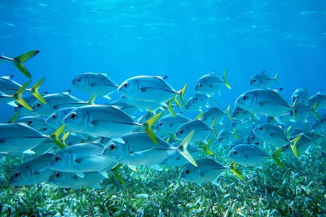 2 Best Fishing Tours In Hopkins