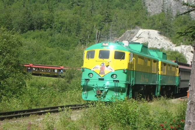 Half-Day Skagway City Tour and White Pass Summit Adventure - Tour Overview and Details