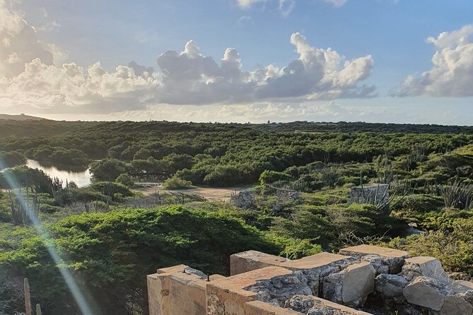 Half-Day Spanish Lagoon Mangrove Trail With Private Guide - Itinerary Details