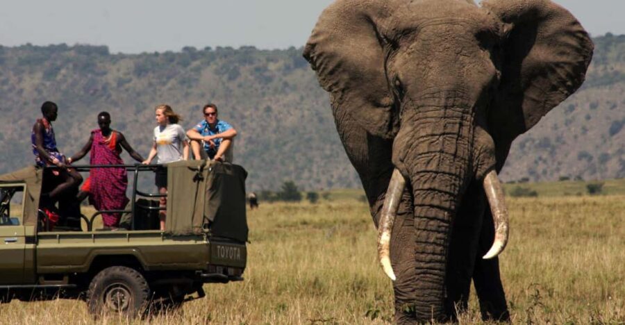 Half Day Tour Hluhluwe Imfolozi Game Reserve Fr Richards Bay