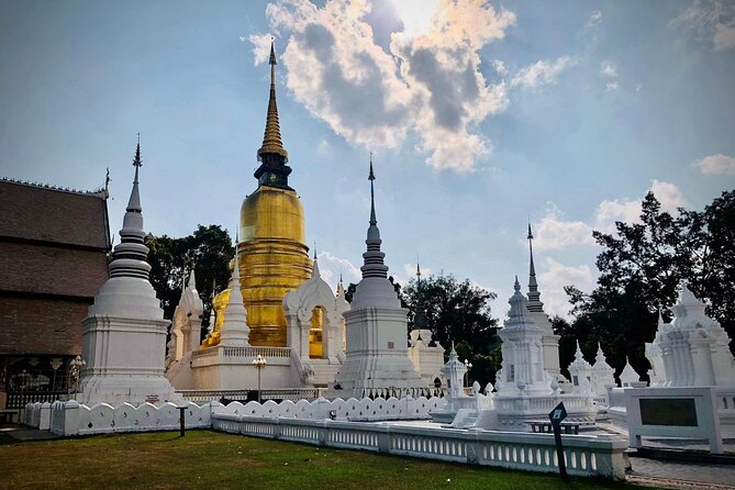 Half Day Tour Suan Dok Temple, Umong Temple & Doi Suthep Temple