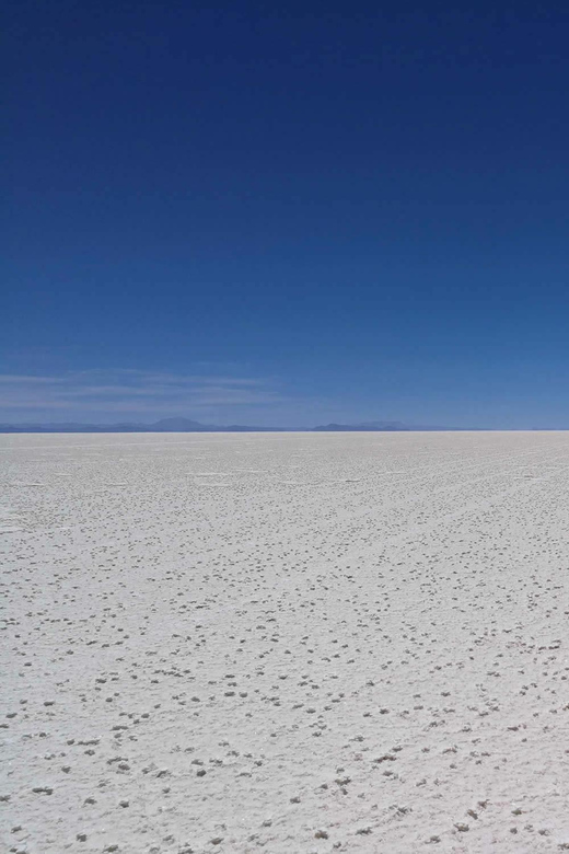 Half-Day Tour to Uyuni Salt Flats Sunset Included - Tour Overview