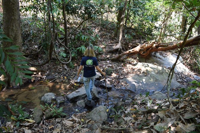 Half Day Trekking Doi Suthep - Pui National Park Area (Private Tour)