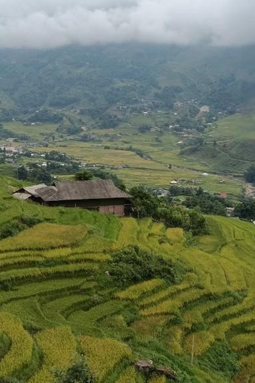 Half Day Visit Y Linh Ho,Lao Chai,Ta Van Trekking With Lunch