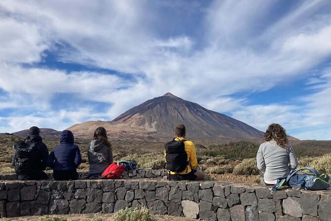 Half-Day Volcanic Experience in Teide, Tenerife - Overview of the Experience