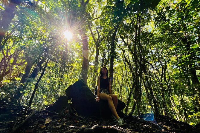 Half-Day Waterfall Tour - Hike, Scenic, Food and Photo - Waterfall Tour Overview