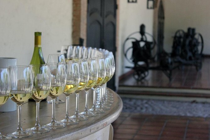 Half Day Wine Tour to Concha Y Toro From Santiago Seasonal Offer