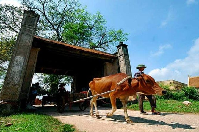 Hanoi: Duong Lam Historical Village Private Day Tour