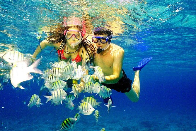 Happy Hour Party Boat With Snorkeling