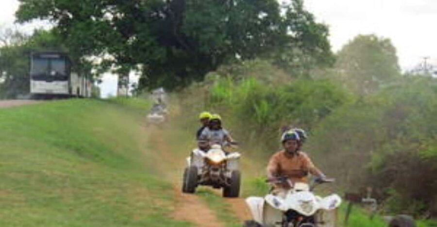 Hazyview : 1hour Quad Bike Safari
