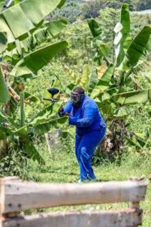 Hazyview : Paintball Target Shooting