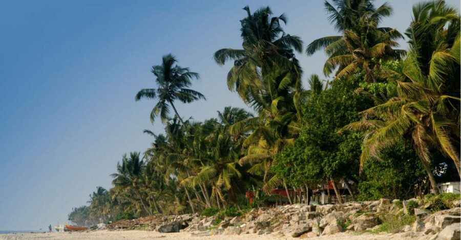 Heritage & Cultural Walk of Alleppey – Guided Walking Tour