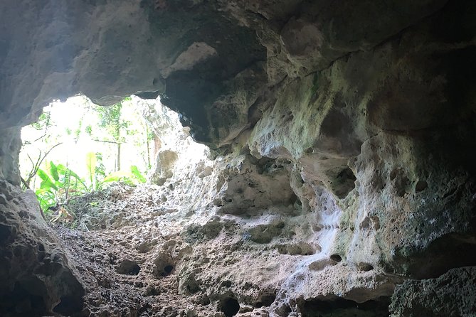 Hidden Gems of the North, Puerto Rico Private Tour
