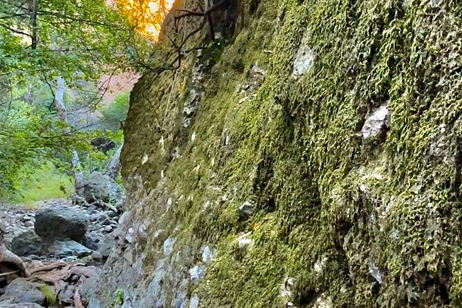 Hidden Grotto & Waterfall Electric MTB & Hiking Adventure Malibu - Adventure Overview