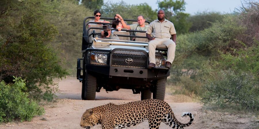 High-End 5 Day All-Inclusive Kruger & Panorama Tour From JHB