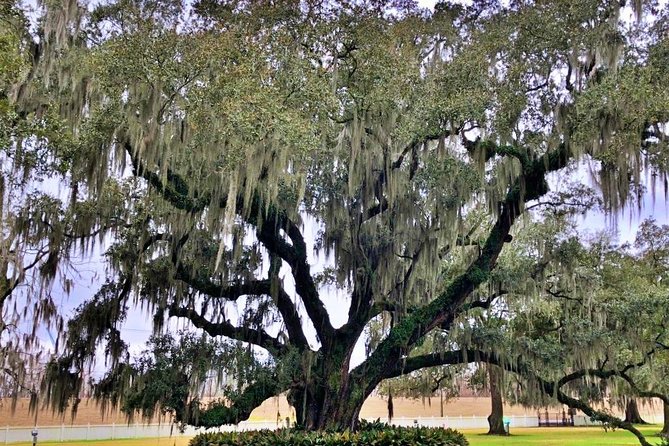 Highlights of New Orleans City and Destrahan Plantation Tour