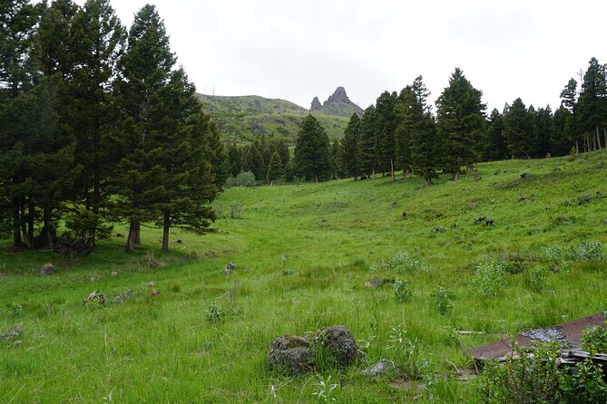 Hike to Chimney Rock With an Enthusiastic Tour Guide - About the Tour