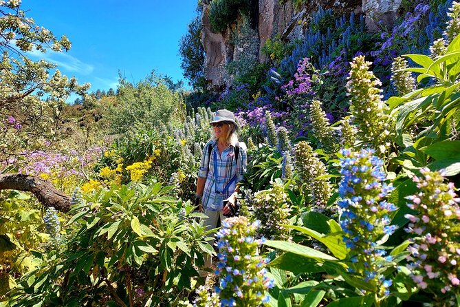 Hikes in the Green Gran Canaria - Whats Included