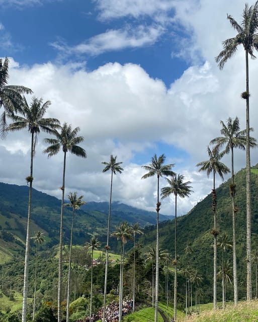 Hiking Acaime – Cocora Valley Private Full Day