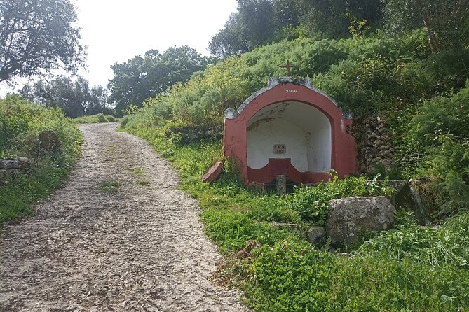 Hiking and Wine Tasting Experience