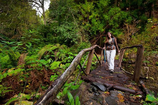 Hiking Faial Da Terra + Van Tour Nordeste