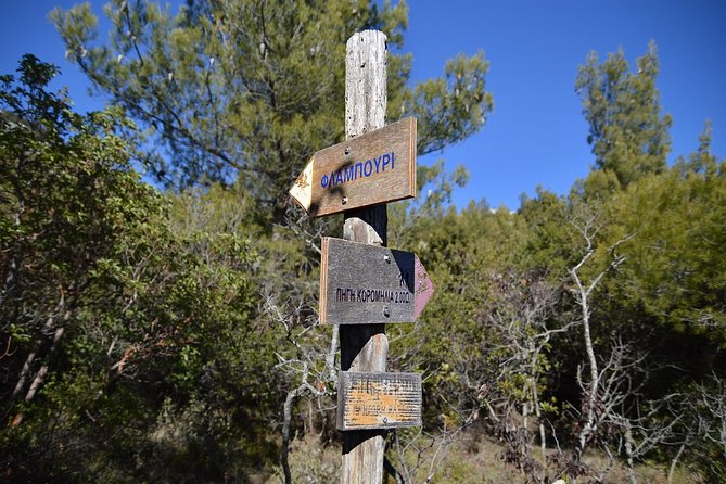 Hiking in Parnitha National Park From Athens - Exploring Parnitha National Park