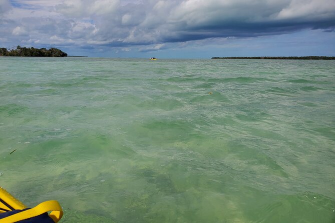 Hiking + Kayaking Tour in Everglades National Park W/ Wet Walk!