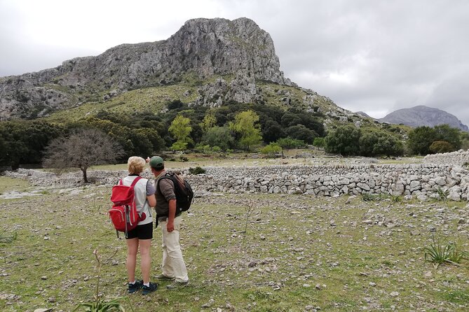 Hiking Private Tour in Pollensa - Tour Overview