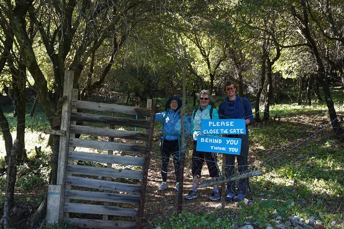 Hiking Profitis Ilias Mountain - Pick up Service Available - Tour Overview