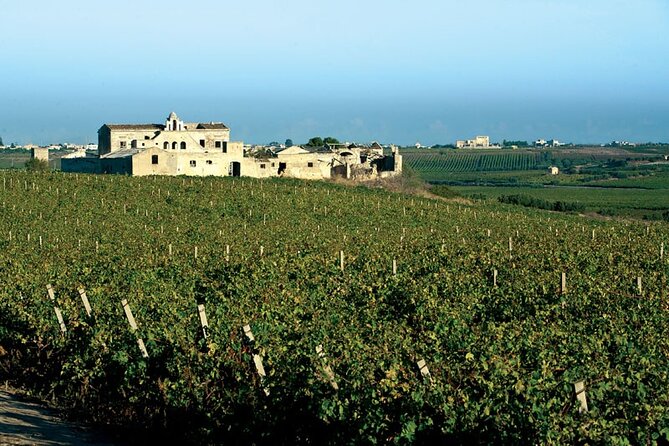 Historic Winery Visit With Food and Wine Tasting in Marsala - Overview of the Winery Experience
