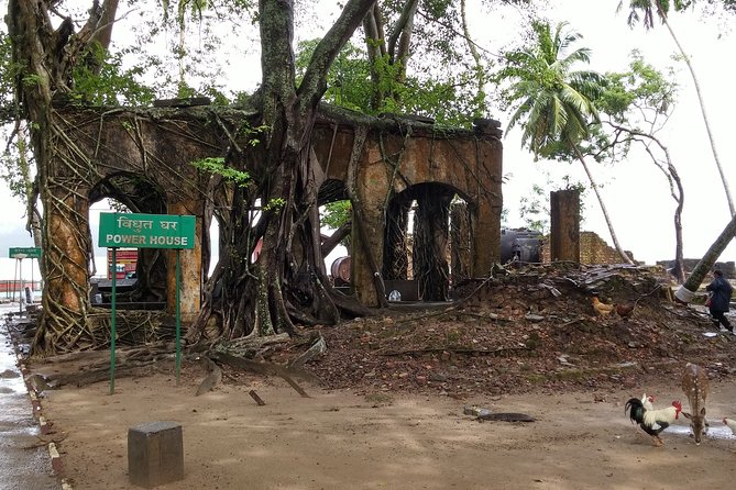 Best Guided Tours In Andaman and Nicobar Islands