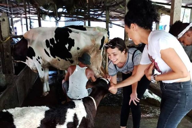 Ho Chi Minh City Full-Day Farm Trip With Healthy Cooking Class - Menu Details