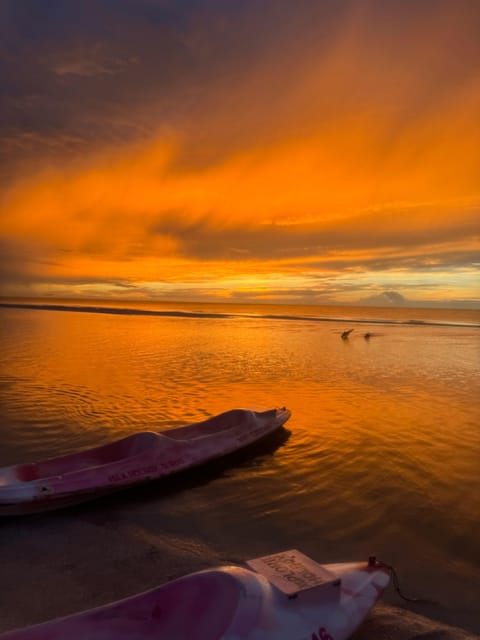 Holbox: Mangrove Sunset Kayak Tour