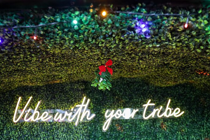 Holiday Light Bus Tour ATX