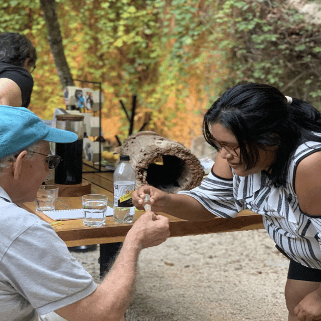 Honey Tasting + Stingless Bees From Merida, Yucatan