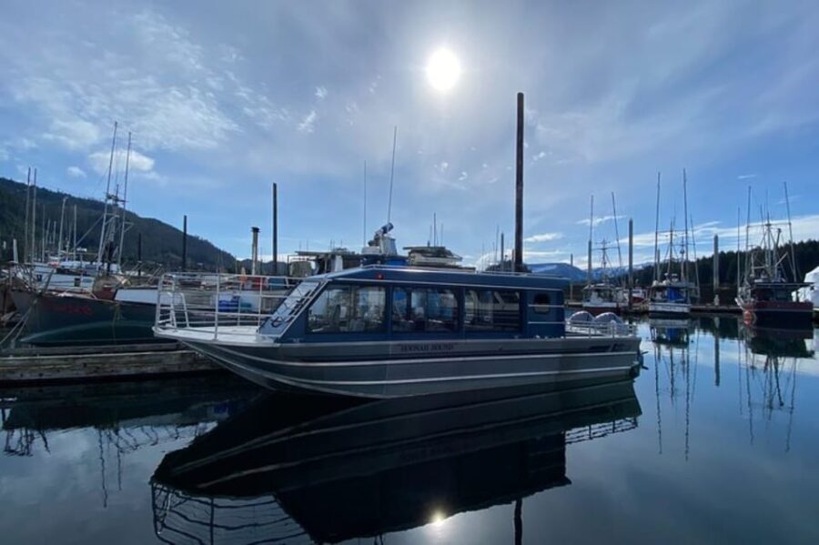 Hoonah: Whale Watching Cruise