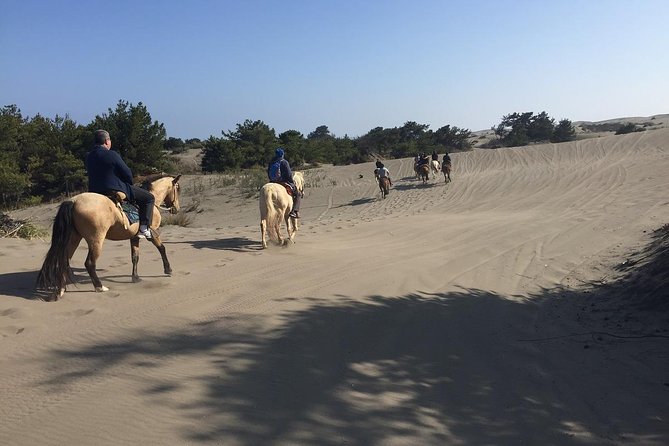 Horse Ride & BARBECUE on Ritoque Beach&Sand Dunes FROM VALPARAISO