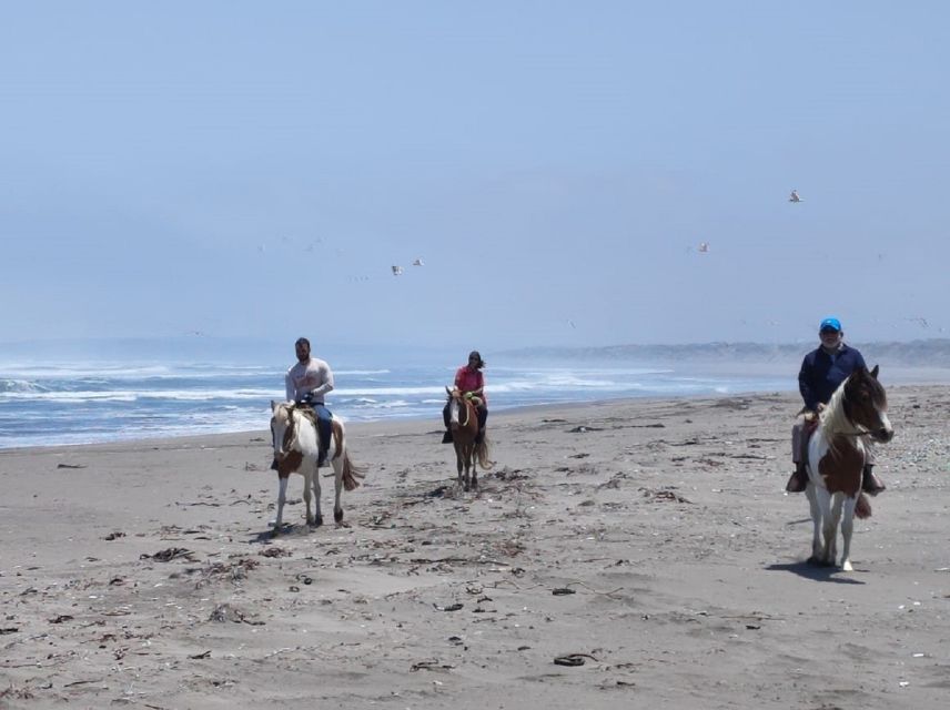 Horse Riding & Barbecue, Ritoque Sand Dunes & Beach F. Valpo