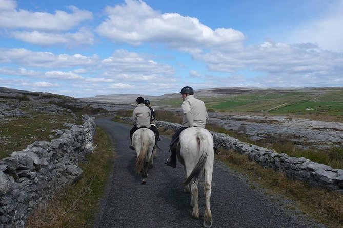 Horse Riding - Burren Trail. Lisdoonvarna, Co Clare. Guided. 3 Hours. - Scenic Highlights
